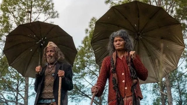 Vinod Kapri's Pyre Debuts Oct 30, Snags Best Film Award at Tallinn
