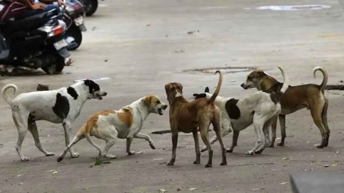Delhi Police Arrest Four in 16‑Year‑Old's Gang‑Rape and Murder on Kushak Road
