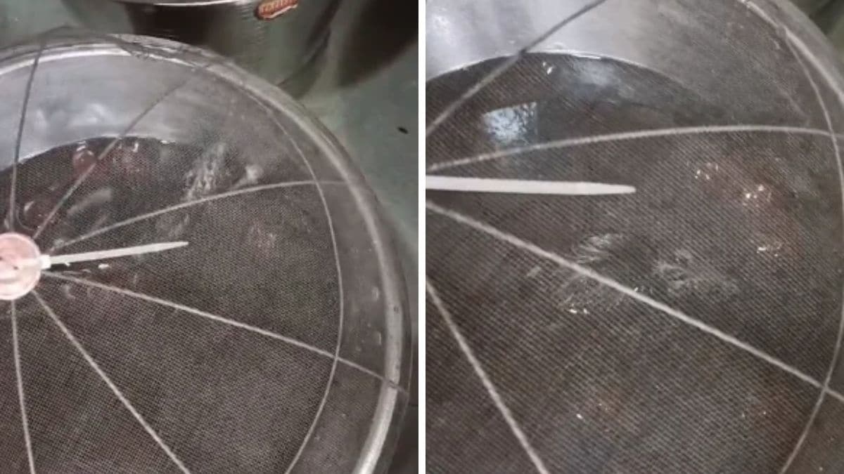 Maharashtra FDA Shuts Harish Gulab Jamuns After Rat Found Swimming in Syrup