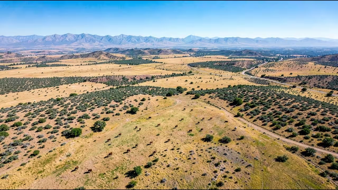 Yarborough Family Exits Y Bar O Ranch, Selling 29,071 Acres for $46.5M