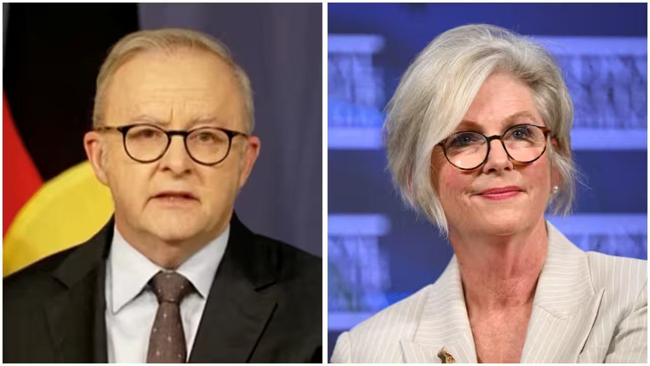 Prime Minister Albanese Declares Attack on MP Helen Haines Deliberate, Driver Arrested