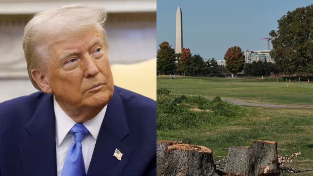 Judge Ana Reyes Halts Trump’s East Potomac Golf Course Tree‑Removal, Orders 10‑Day Notice