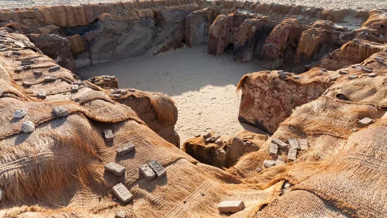 Egyptian Skulls from Umm el-Qa'ab Show 39% Sacrifice‑Related Injuries
