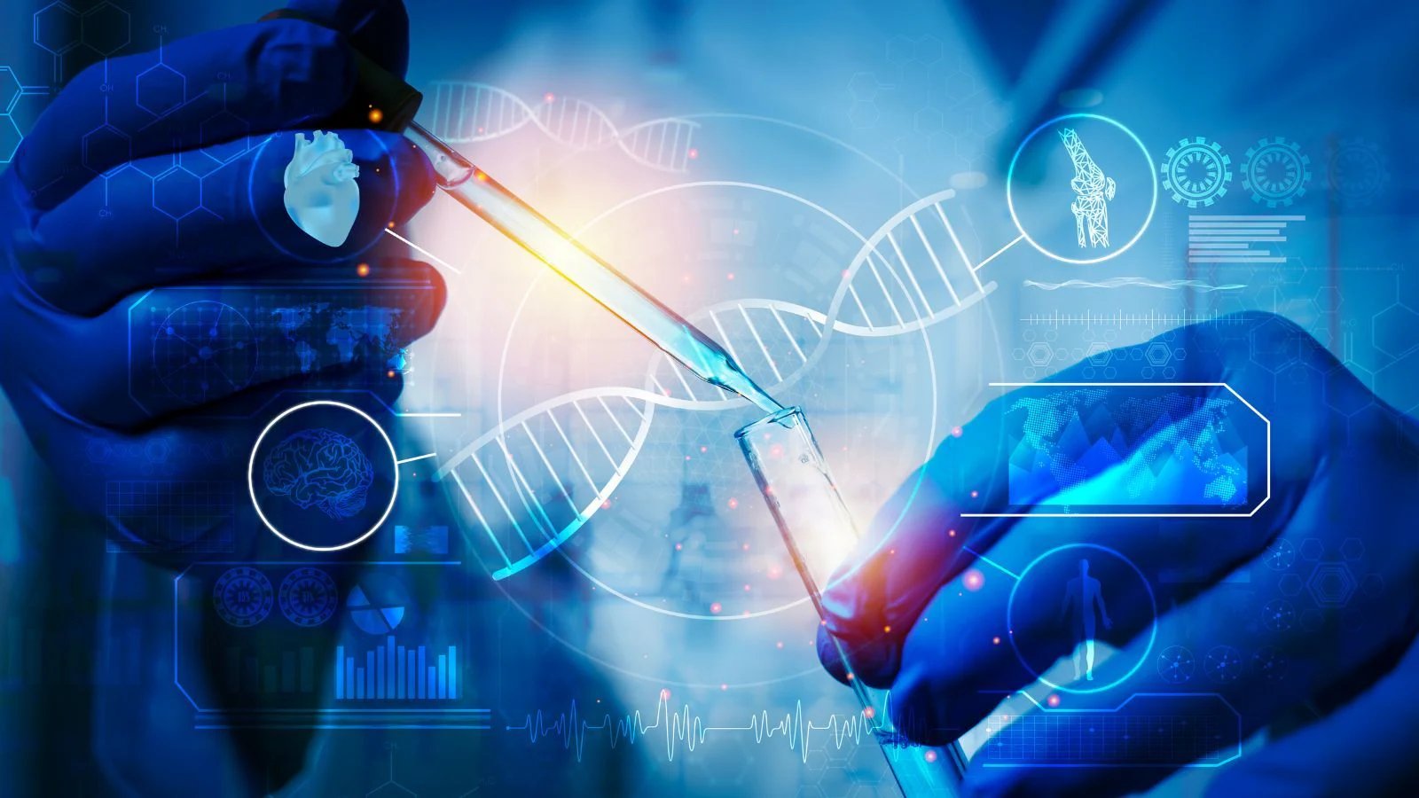 Syngene International Q2 Net Profit Slumps 52%, Revenue Drops 8.6%