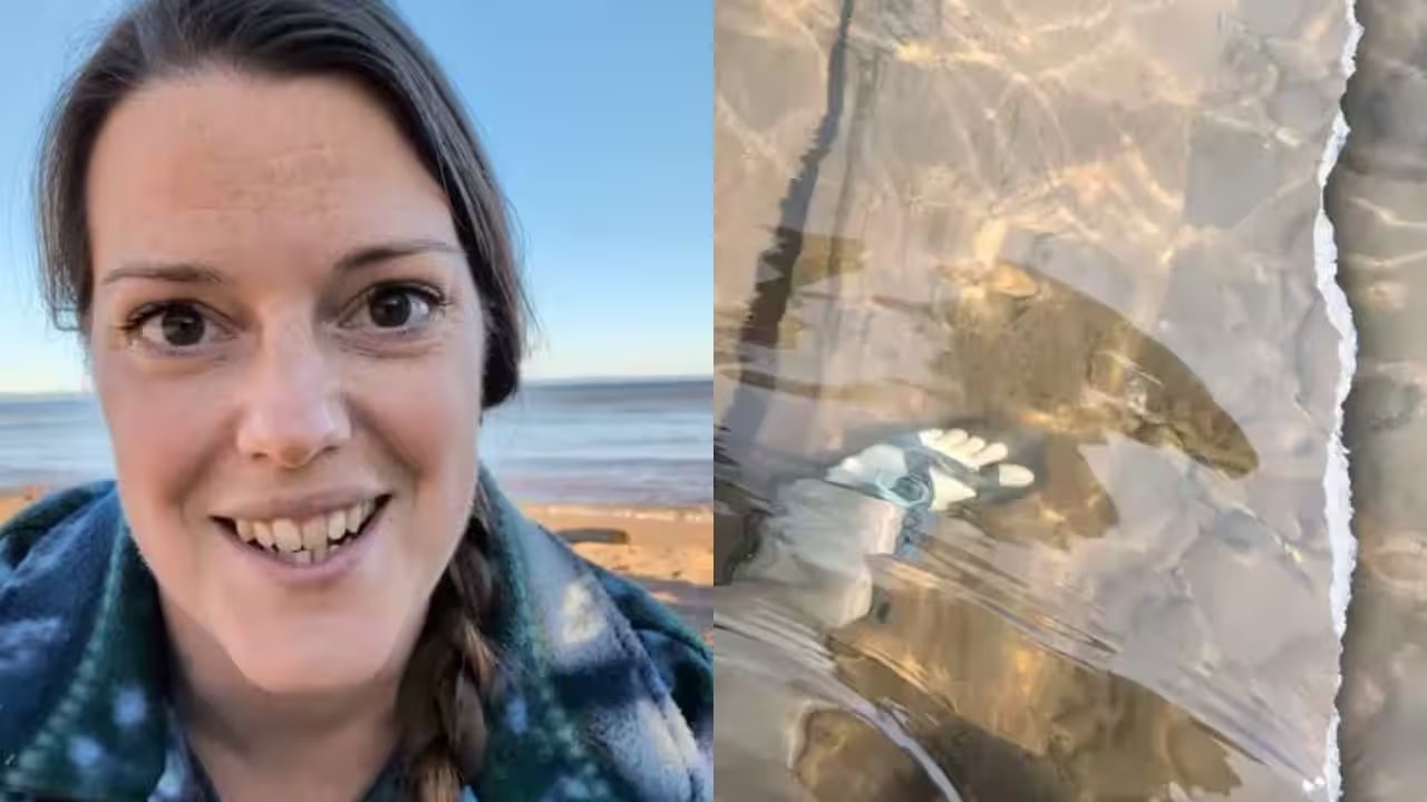 Hannah Damon Discovers 70‑Foot A.H. Pitz Tugboat Wreck on Lake Superior