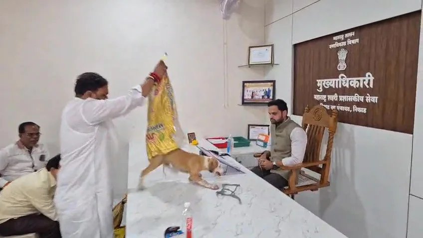 Shiv Sena Activist Charged After Placing Puppies on Nashik Official's Desk