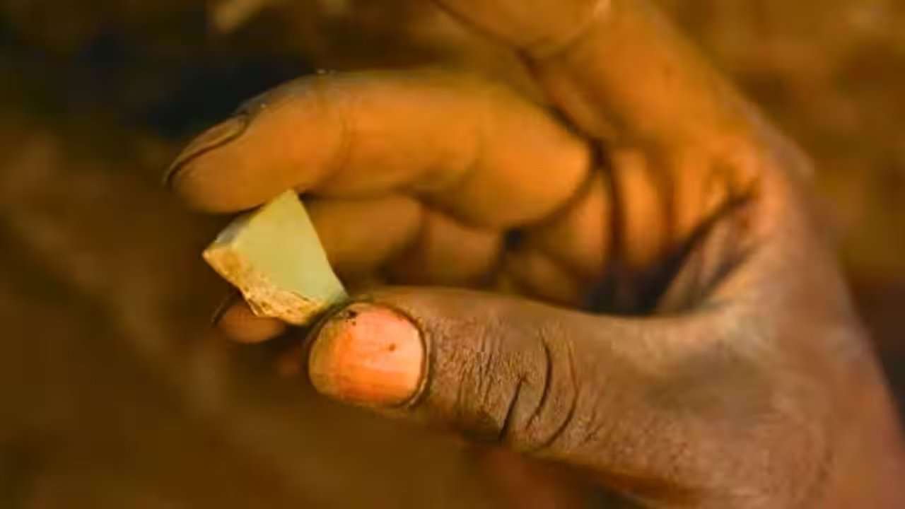 Oxford Archaeologists Discover Chinese Celadon Shard at Great Zimbabwe, Revealing 1,000-Year Trade Link