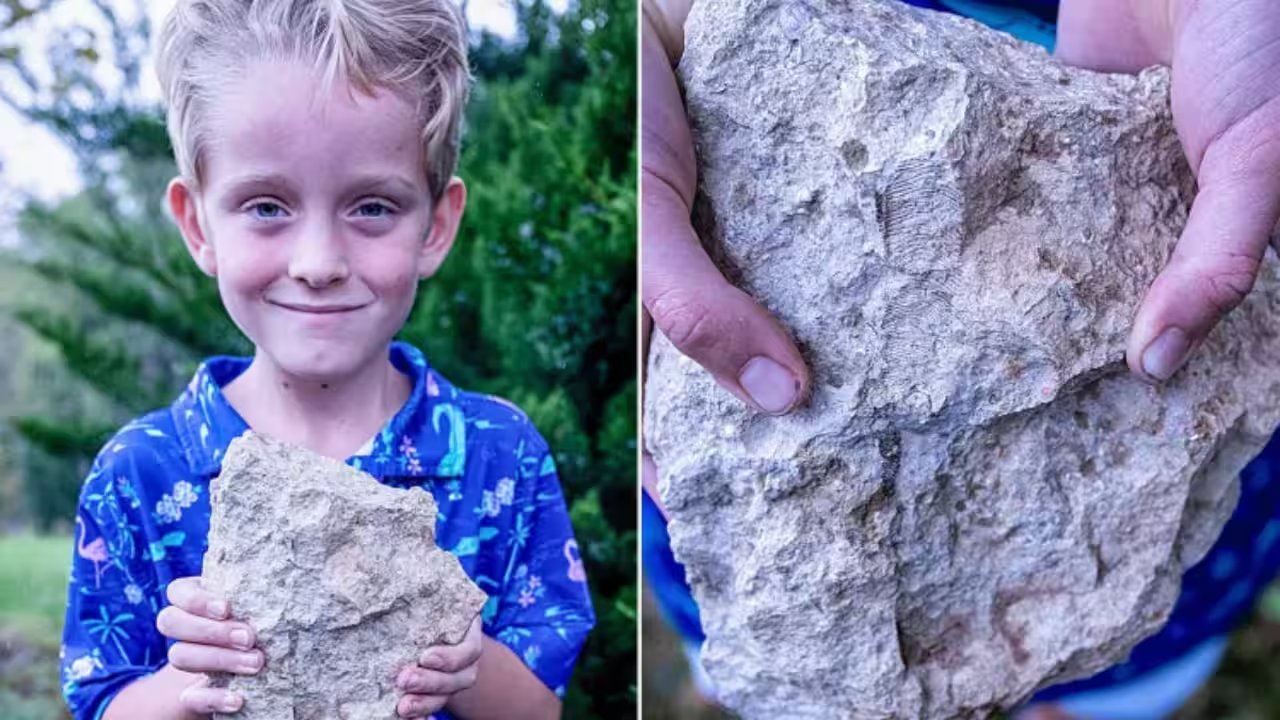 Nebraska Boy Finds Conulariid Fossil Unseen In State For 55 Years