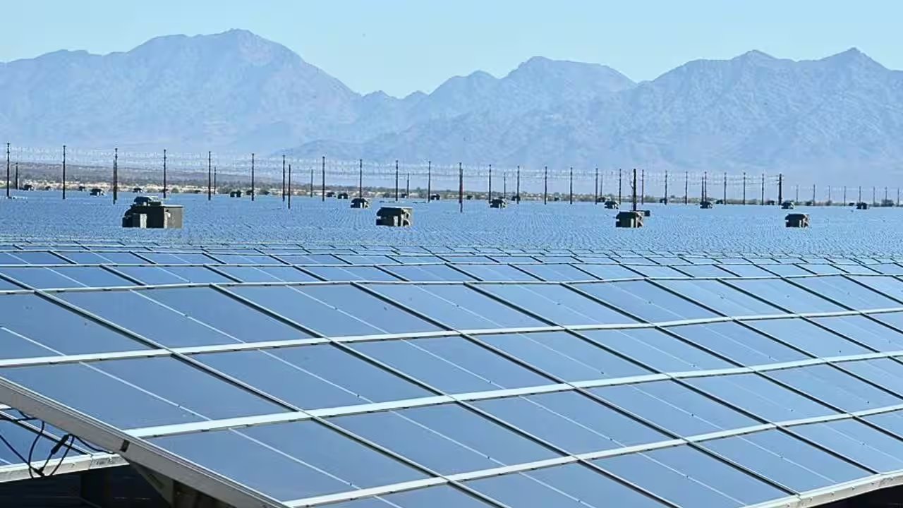 Belgian Quarry Pairs 3,240 Solar Panels With Sheep Flock To Slash Carbon Footprint
