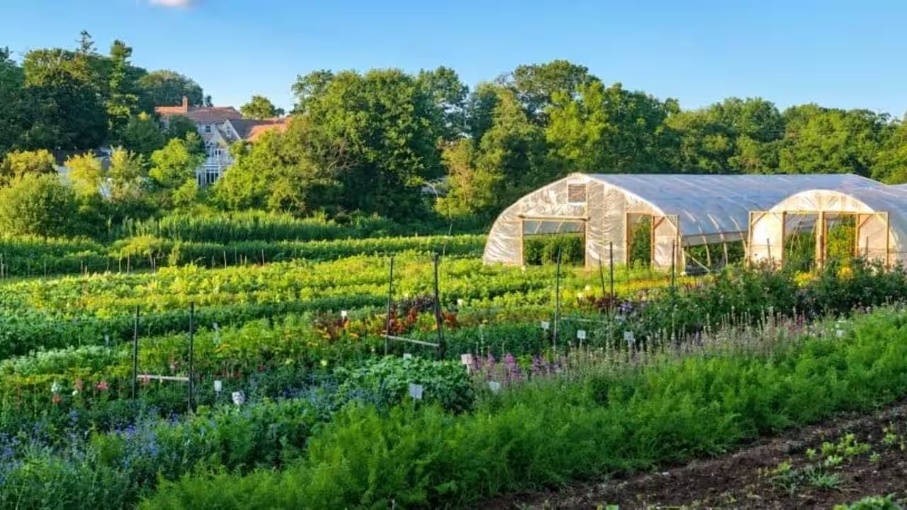 Friends of Holly Hill Farm Secures 5.23-Acre Farm for Future with $4.9M Donation