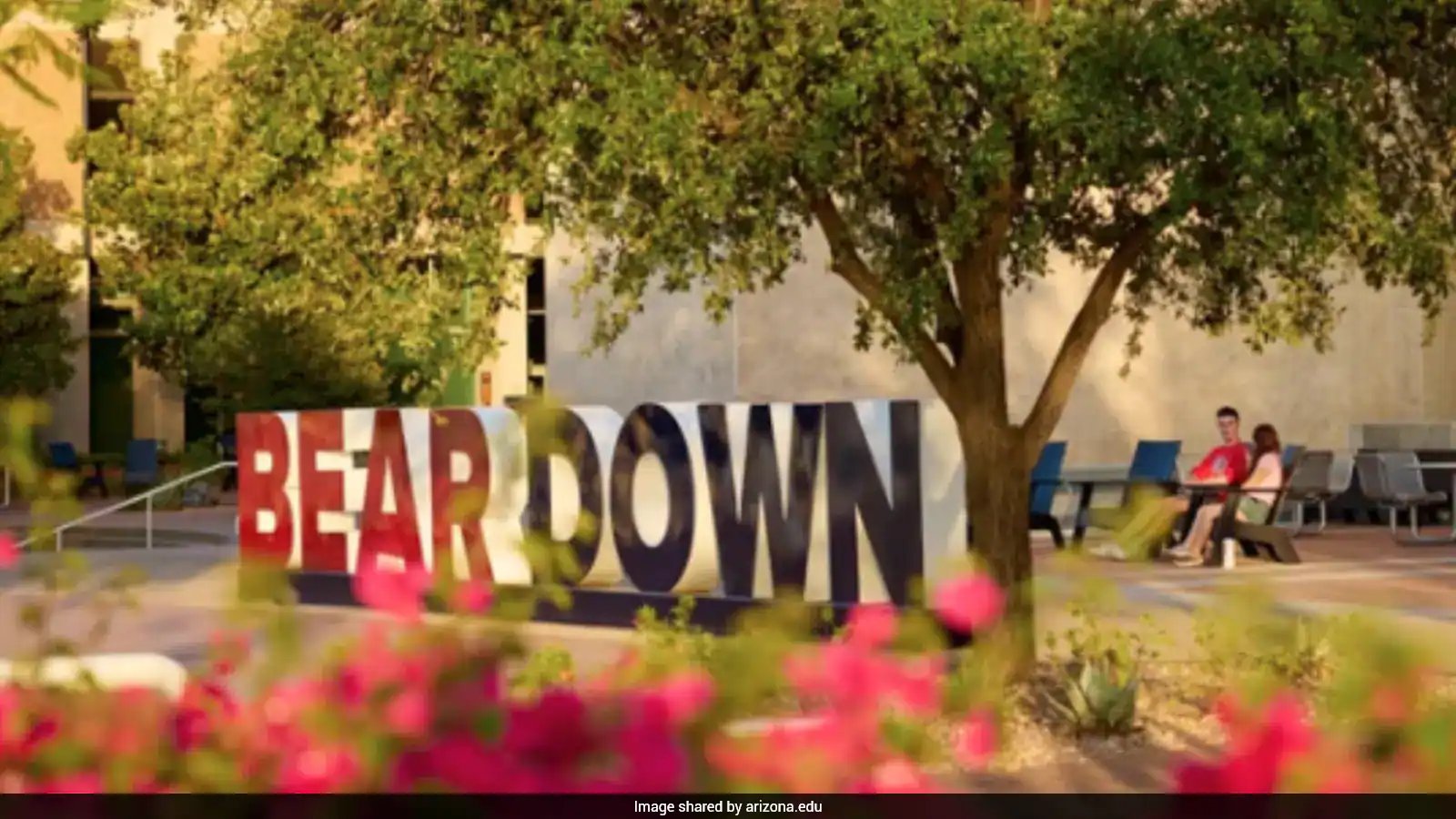 Arizona University Suspends Sigma Phi Epsilon After August Sexual Assault Allegation