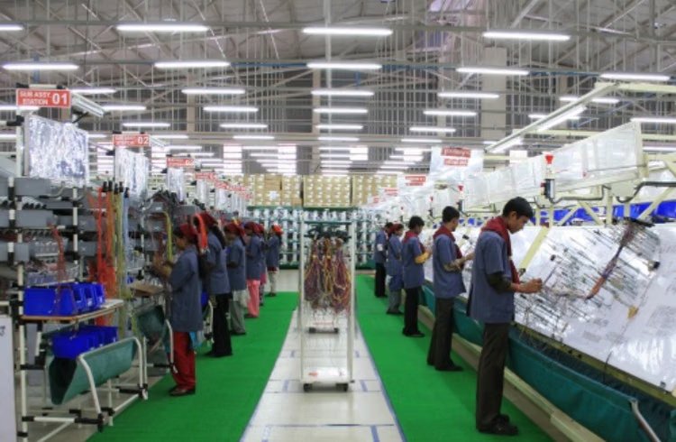 Motherson Sumi Wiring India Net Profit Climbs 35% to ₹223 Crore Amid EV Wiring Boom