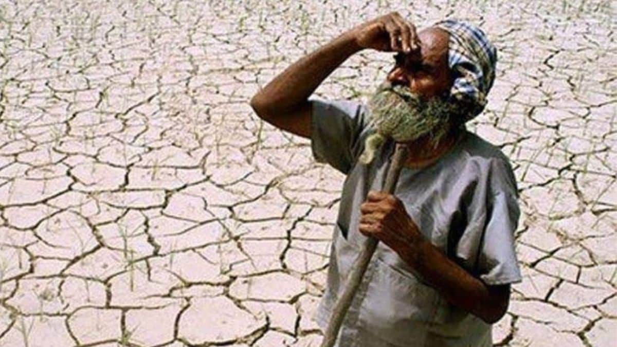 Maharashtra IAS, IPS Officers Donate One-Day Salary to CM Relief Fund in October 2026