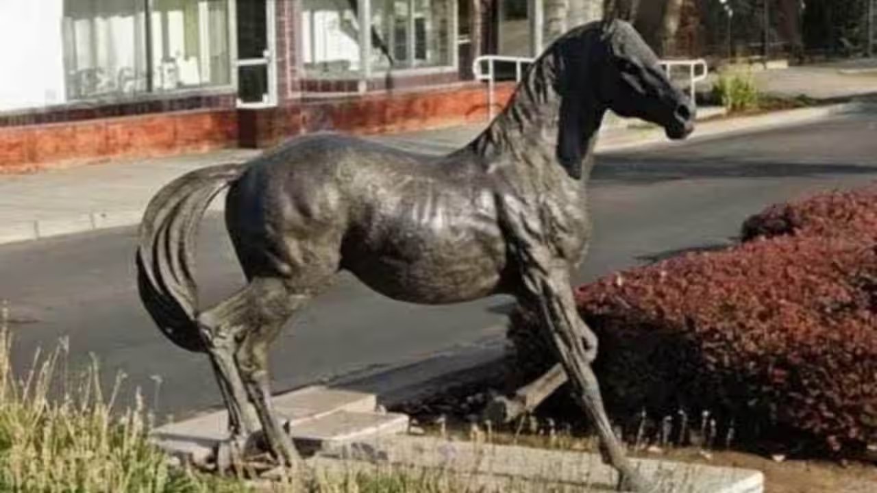Sacramento Police Seek $80,000 Ben Ali Statue Stolen From Del Paso Boulevard