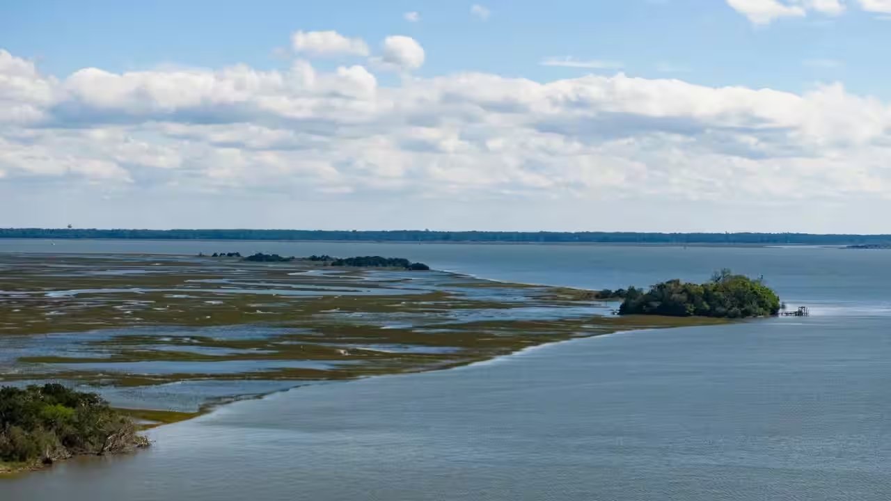 University of Georgia Wins $8 Million NOAA Grant to Restore 326 Acres of Salt Marsh