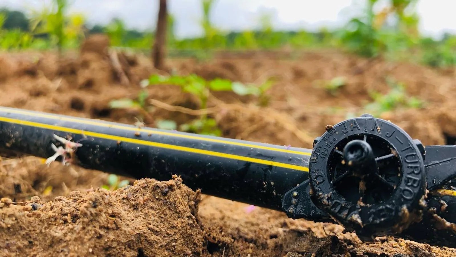 Jain Irrigation Sees 5% Rally on ₹117.96 Cr Solar Pump Order