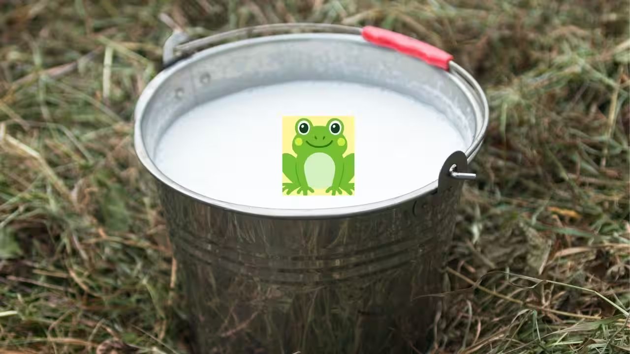 Kefir Face Mask: How a 17th‑Century Milk Trick Turns Your Skin into a Glow