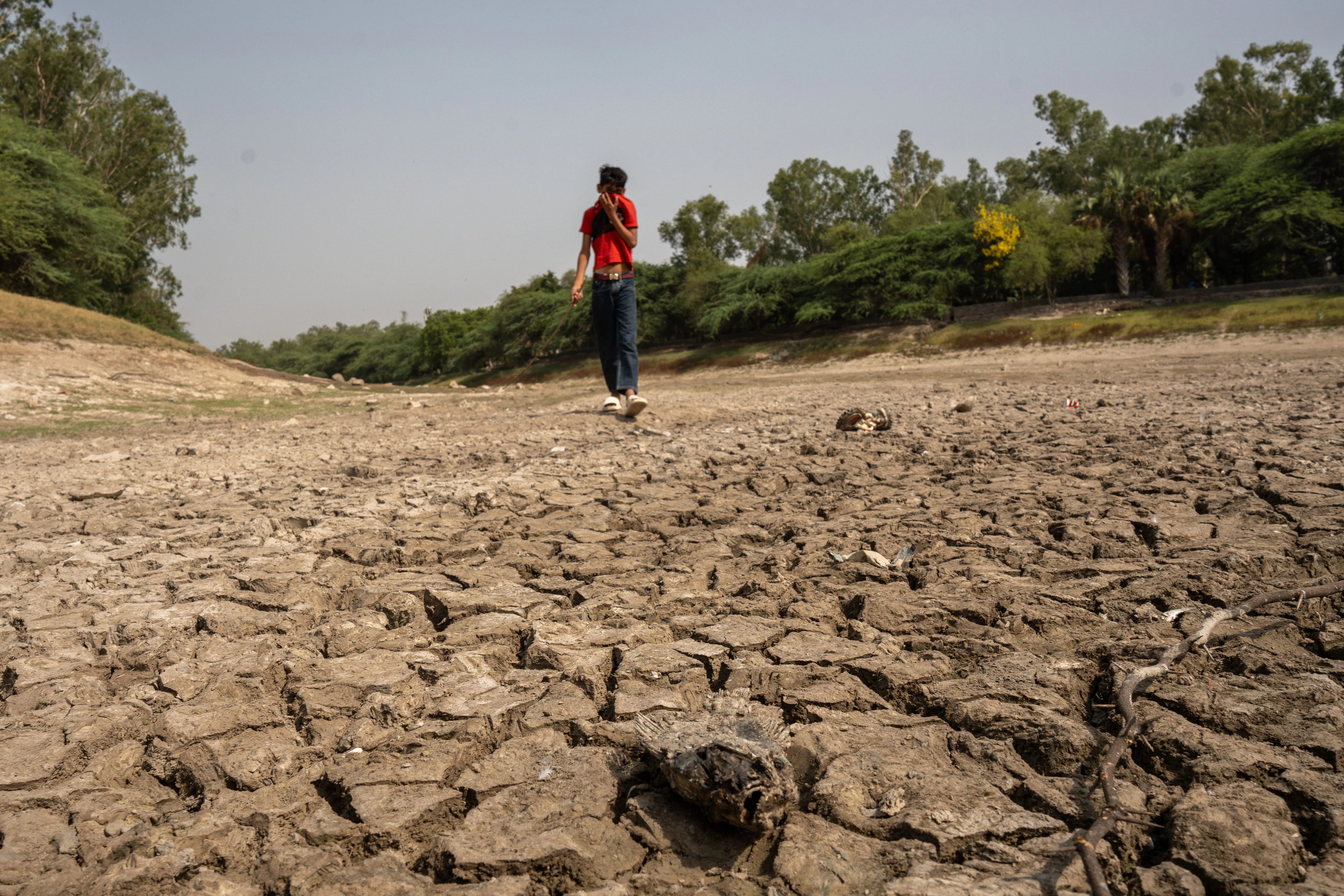India Faces 15% Monsoon Deficit Amid El Nino Surge
