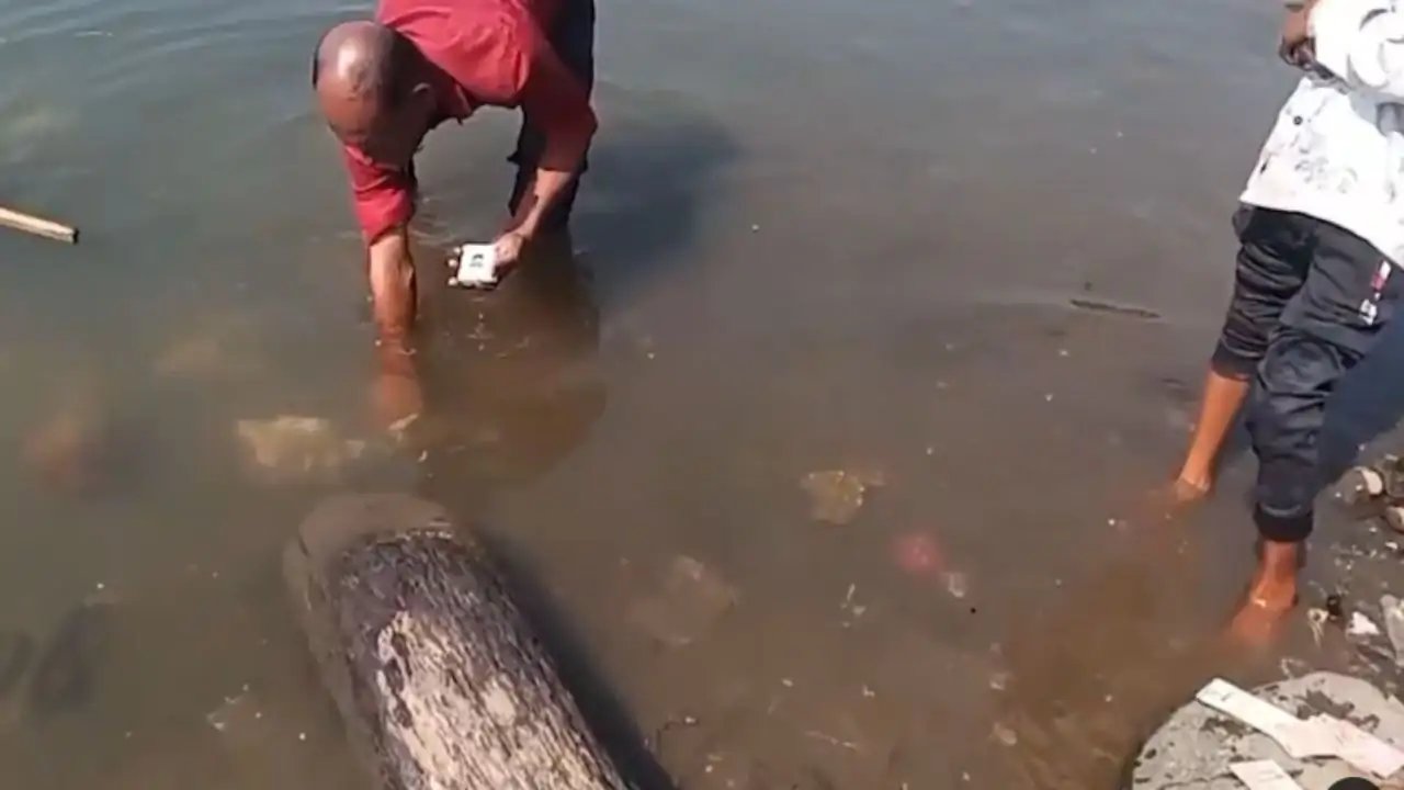 Indore Voter Cards Found in Narmada River Spark Vote Theft Allegations