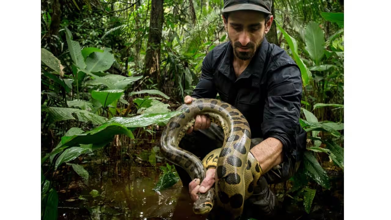 Junglekeepers Protects 160,000 Amazon Acres as Drug Traffickers Escalate Violence