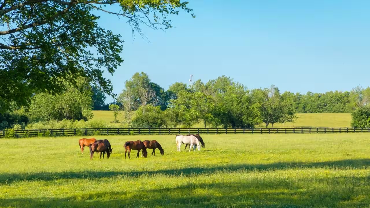 Florida Department of Agriculture Secures $20.15M Conservation Easement for 219‑acre Leonard Ranch