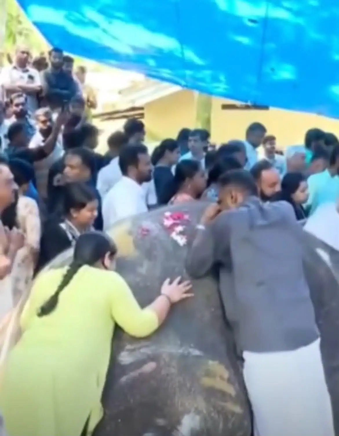 Kerala’s Iconic Elephant Pallattu Brahmadathan Killed by Lightning at Pala, 46