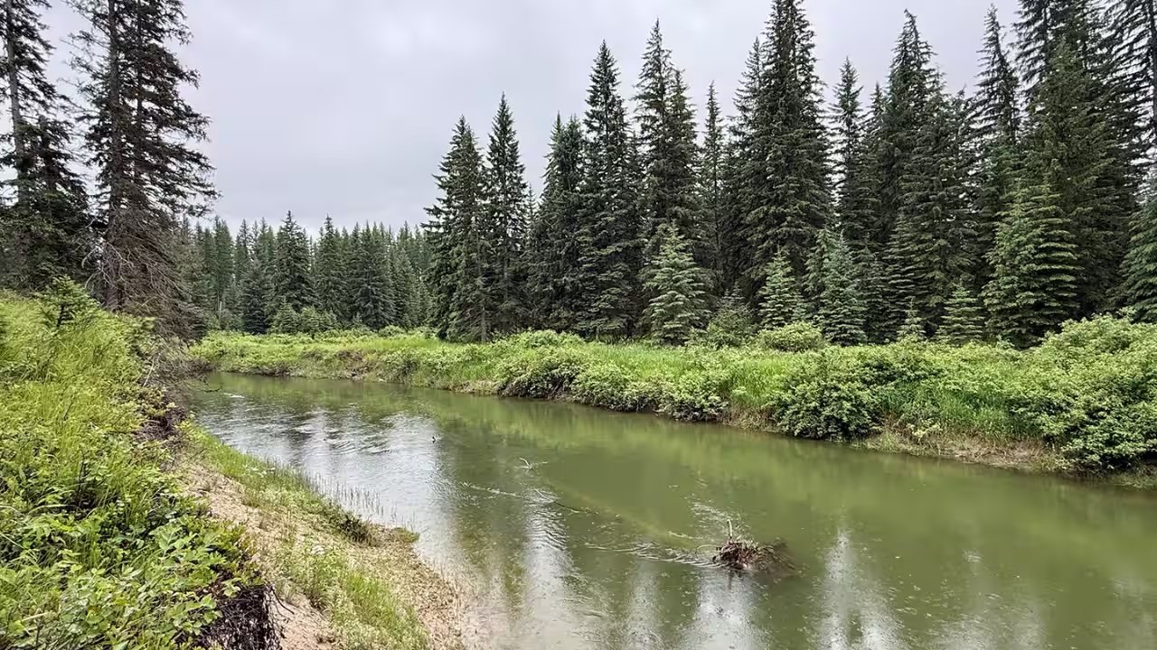 Sean Rooney Secures 57‑Acre Montana Ranch with Conservation Easement