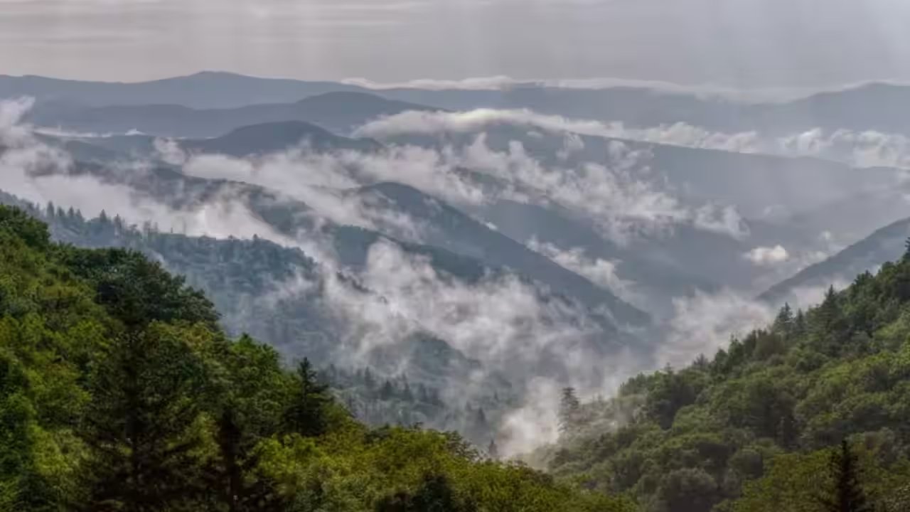 Rockefeller Fund Grants $5M to Complete Great Smoky Mountains National Park Purchase