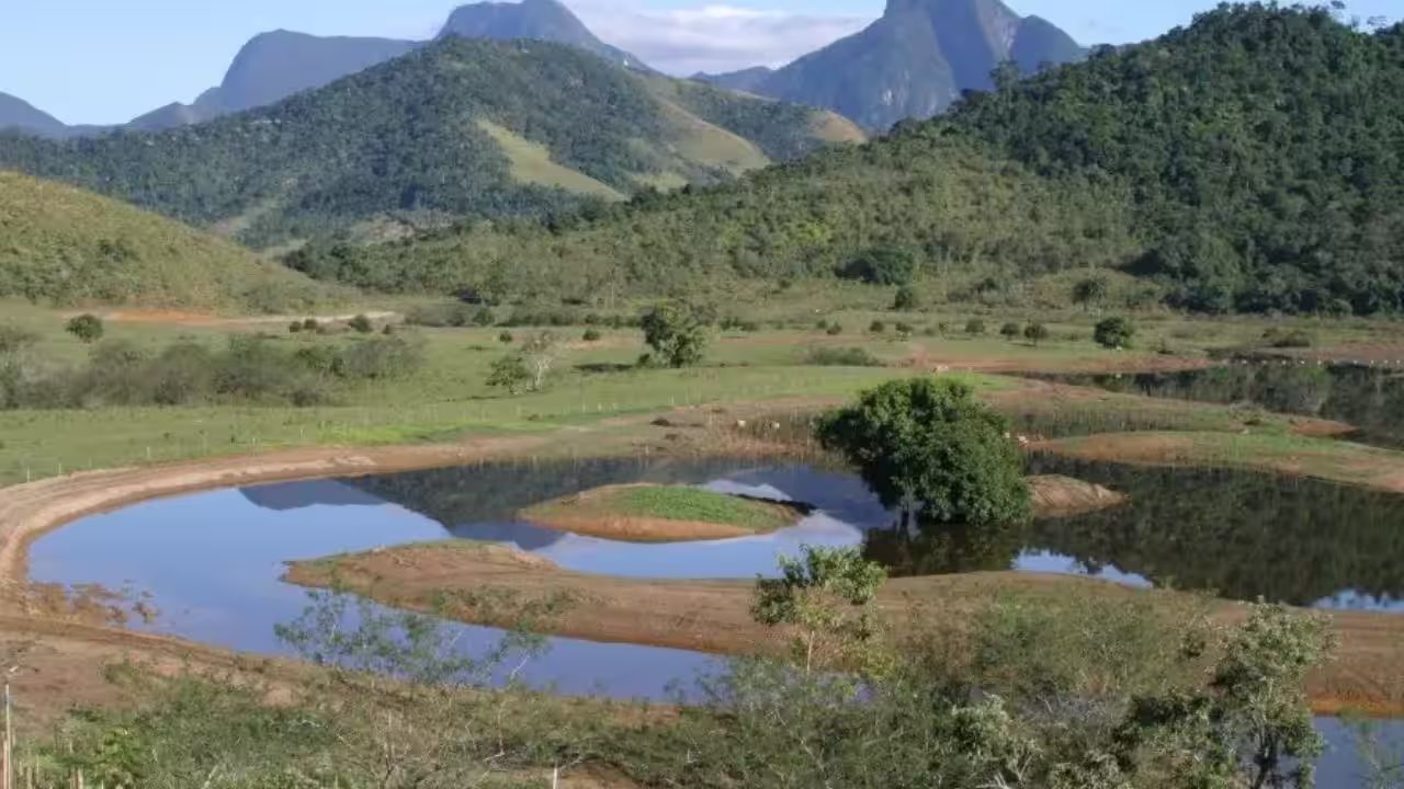 World Land Trust, REGUA Plant 840,000 Trees, Restore 607 Hectares of Atlantic Forest