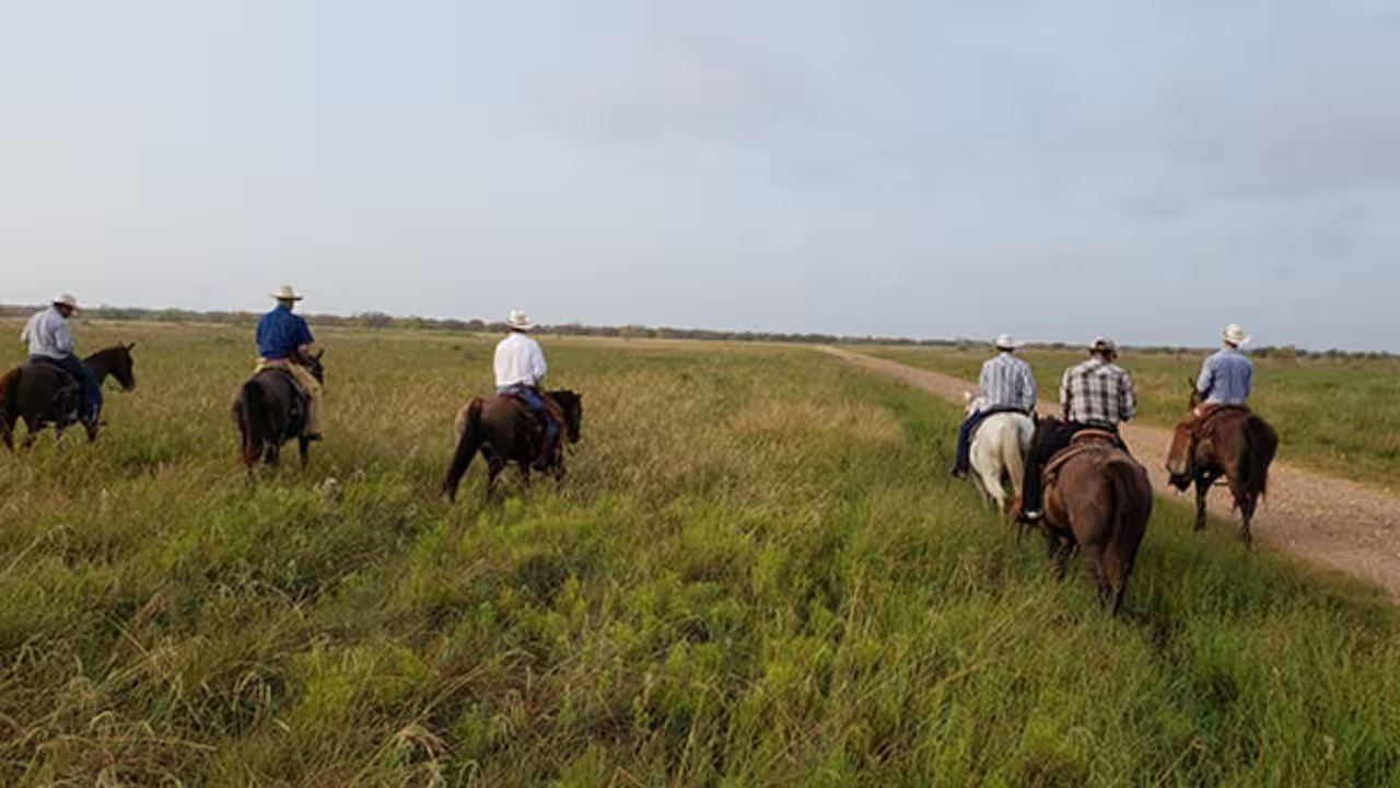 Texas Court Lets Allegiant Cross McFaddin Ranch to Plug Abandoned Well