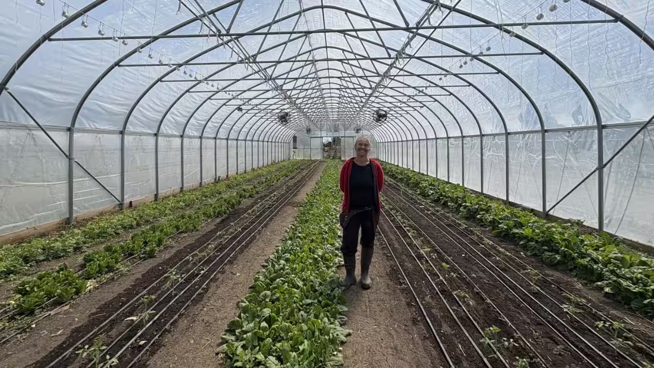 Hansch and Leon Raise $700,000 Farm on 2.5 Acres in New York
