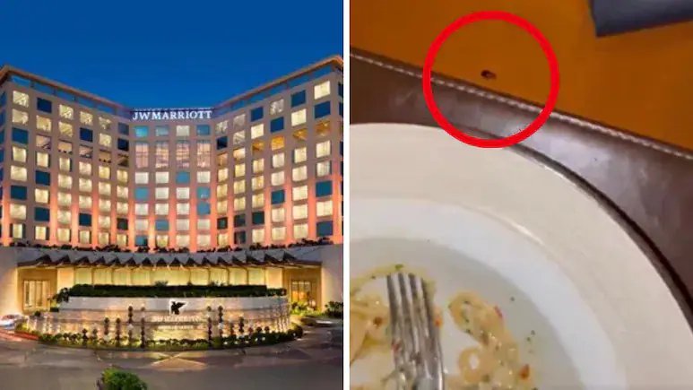 Dr Ashok Seth Exposes Cockroach in Mumbai Hotel, Calls for Food Safety Review