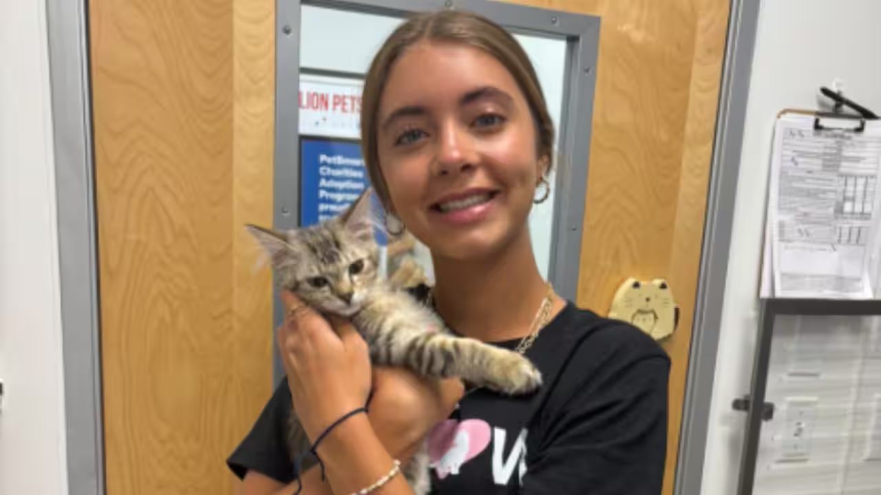 Sawyer Tinsley Raises $25,000 for Florida Shelters Through Kitten Fundraiser