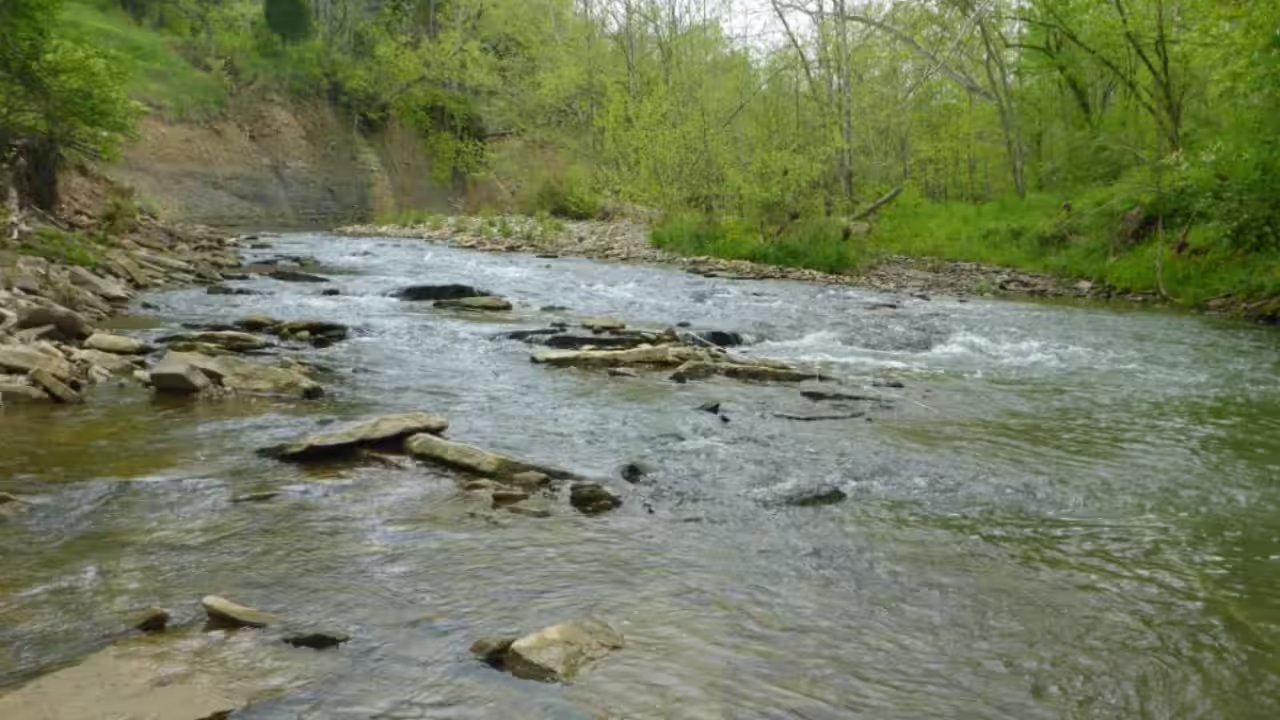 Gayle Pille's 45-Acre Kentucky Preserve Faces Seizure for $40M Sewer Line