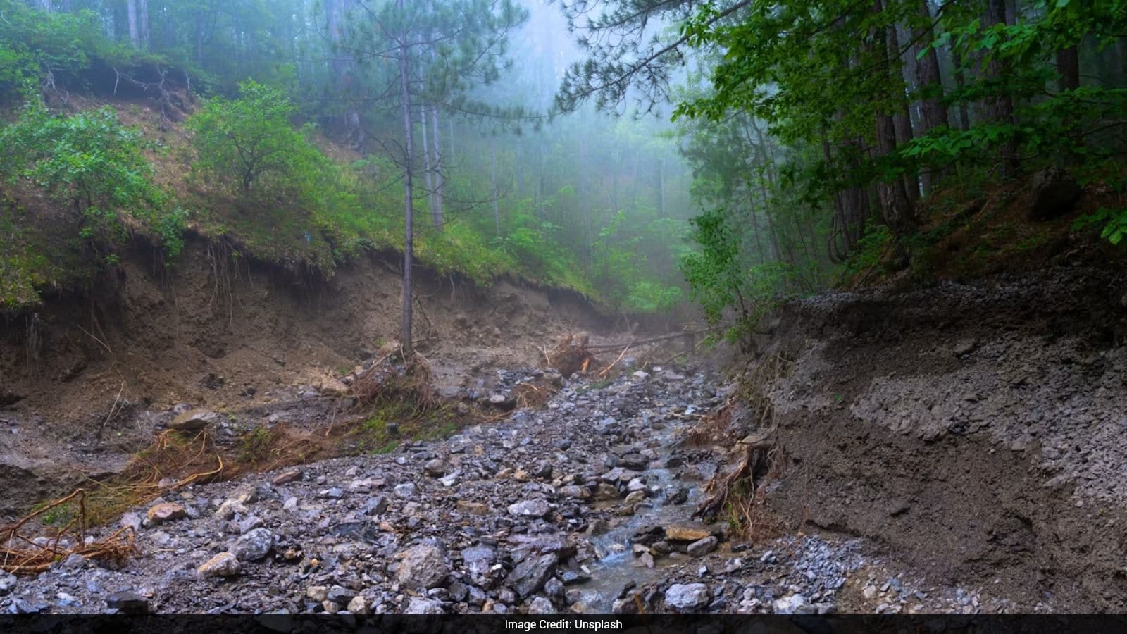 Chennai Tourist Sangeetha Arul Lal (35) Killed in Kottayam Landslide