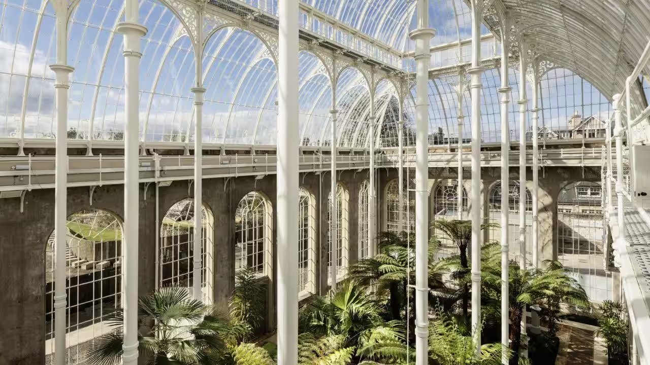 Edinburgh Palm Houses Reopen After £23.5m Restoration Replaces 5,750 Glass Panes