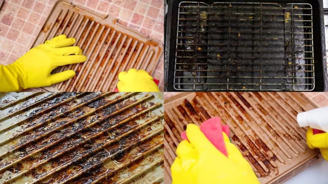 DIY Steam‑Cleaning Your Oven Grill Plate for a Grease‑Free Glow