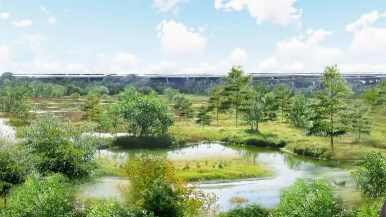 FDR Park Workers Convert 33‑Acres of Illegal Dump into Award‑Winning Wetland