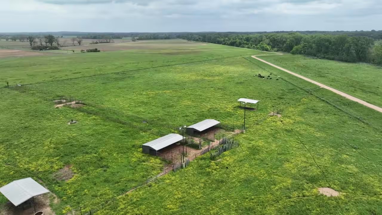 Jesse Colvin Ordered to Pay $15,000 After 70‑Foot Timber Dispute in Louisiana