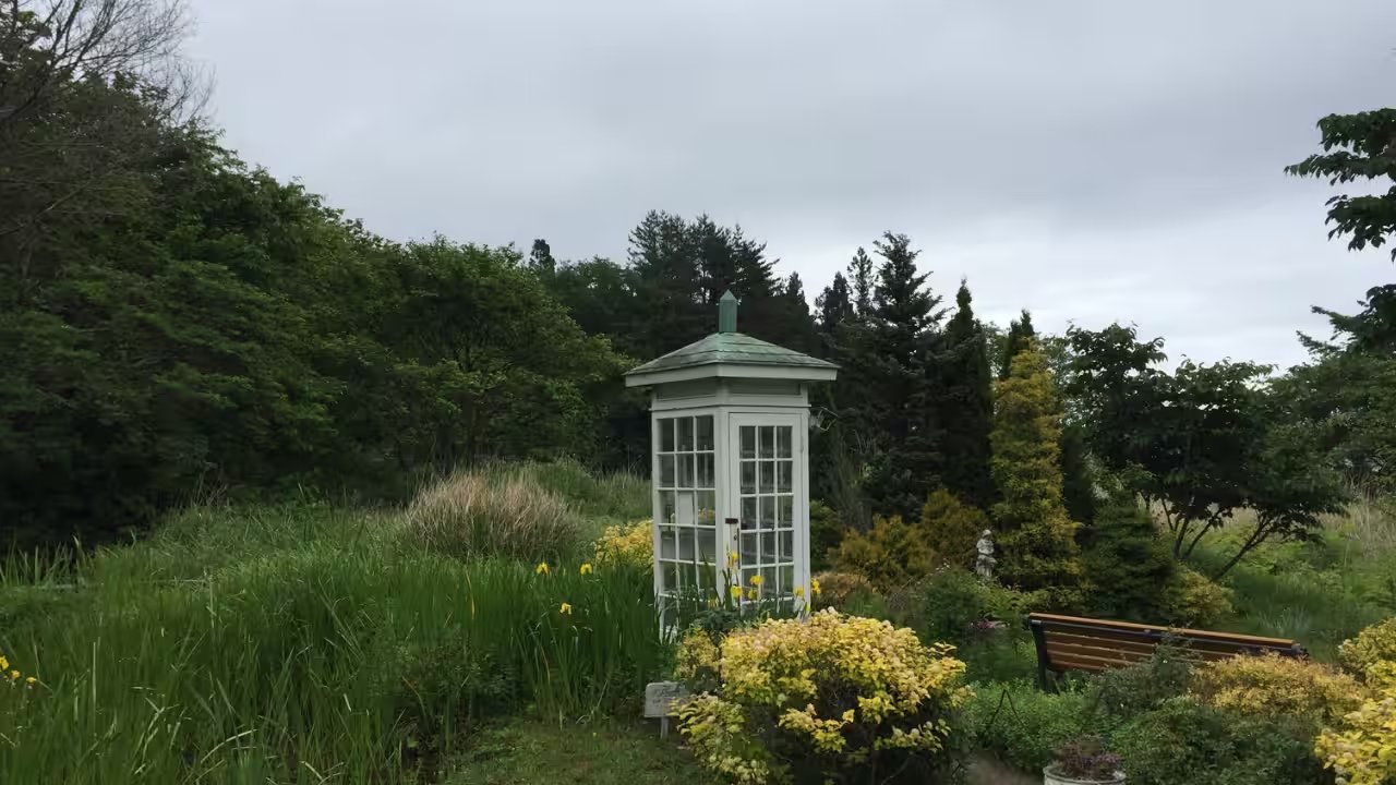 Wind Phone: How an Old Rotary Dial Became a Global Breathing Ritual for Grief
