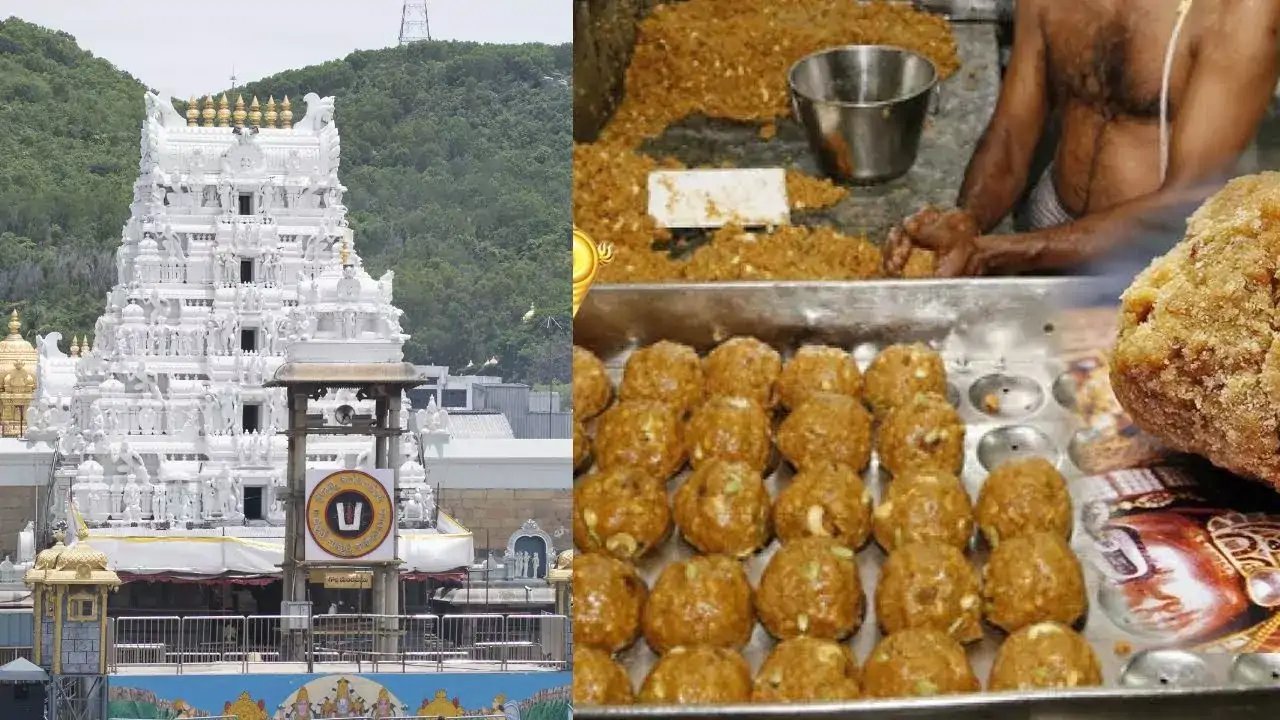ED Seizes ₹129.85 Crore From Ghee Suppliers Behind Tirupati Laddu Scam