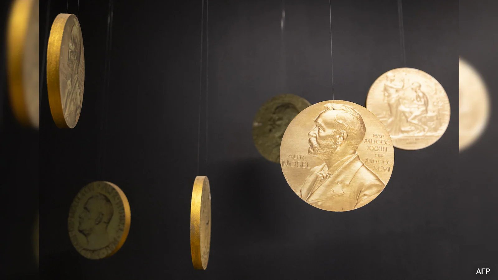 Swedish Academy Considers Jamaica Kincaid and Can Xue for 2026 Nobel Literature Prize