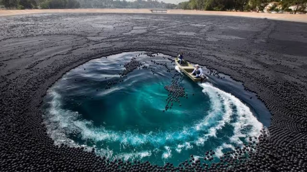 Los Angeles Uses 96 Million Shade Balls, Consumes Up to 766 Million Gallons