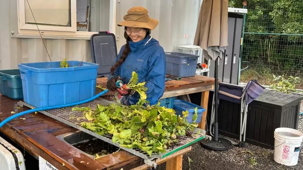 Apollin Lu Mobilises 140 Youth to Save 9,000 Pounds of Produce in BC