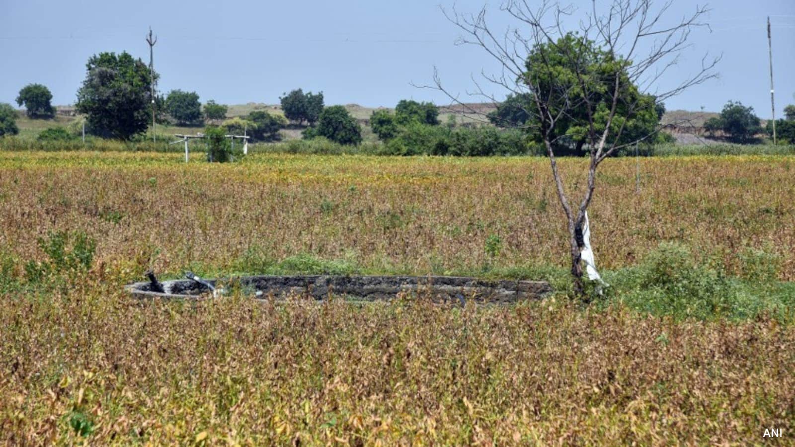 Maharashtra Imposes 10% Water Cut from Oct. 16, Orders Industries to Reuse 30%