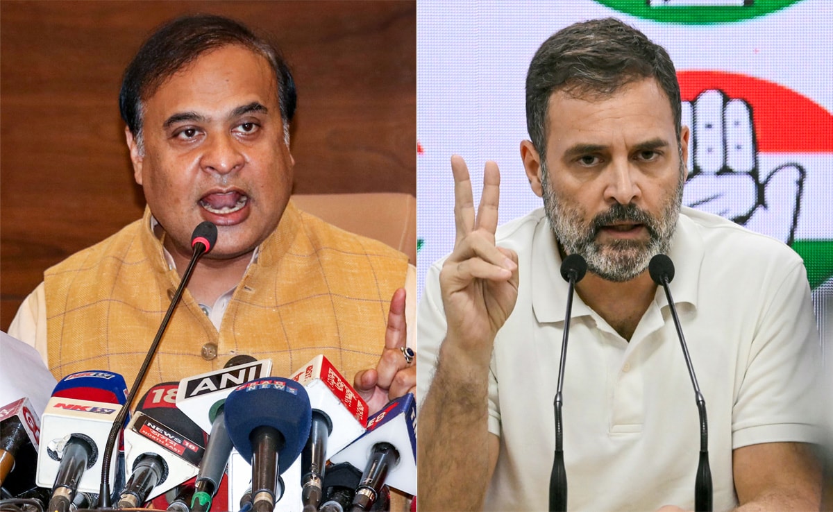 Assam CM Sarma Dismisses Rahul Gandhi After BJP Wins Nagaon Bypoll by 1.42 lakh Votes