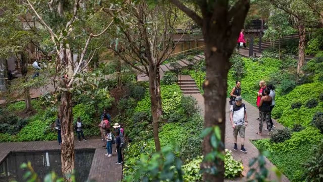 Ford Foundation Distributes $158.5 Million to 324 Groups for Forest Land Rights, 2026